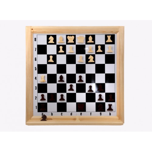 Шахматы настенные демонстрационные 810*810 Орловская ладья